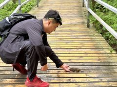 -五营红松林海景区