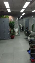 大厅-INS羽毛接发·巴黎画染