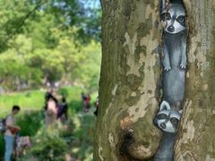 -上海共青森林公园