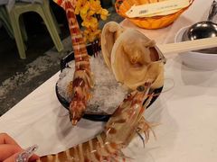 花竹虾-鲜入围煮花胶鸡海鲜火锅