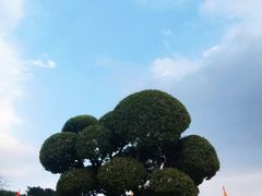 -建水文庙
