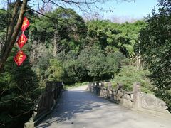 -凤栖山
