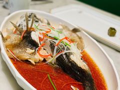 清蒸鱼-辛香汇·现炒川菜(淮海路百盛店)