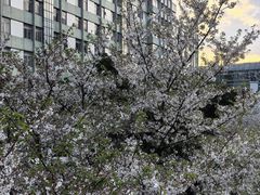 -杭州市第一人民医院(湖滨院区)