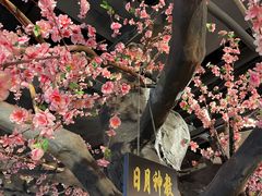 -风波庄(云蝠大厦店)