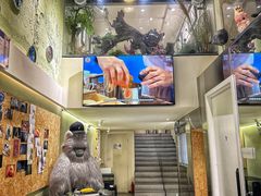-立德动物医院·异宠·CT·鹦鹉(天河店)