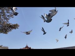 -大召寺明清一条街