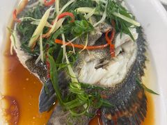 清蒸石斑鱼-众味海鲜大排档·活海鲜·潮汕味(南澳店)