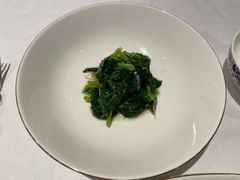 酒香豆苗炒头道紫菜-Yan Ting 宴庭中餐厅(上海静安瑞吉酒店)