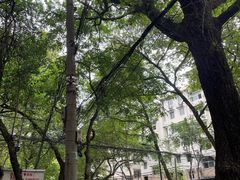 -文武王氏烧饼·无矾油条(西溪路店)