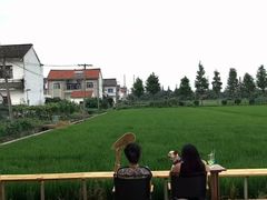 -深圳野生动物园