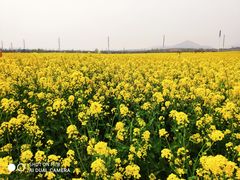 -西海岸生态观光园