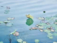 -天鹅湖体育公园