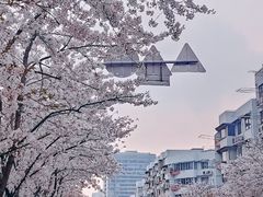 -永乐路-路侧停车场