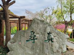 -南汇桃花村