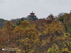 -北山公园