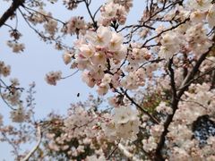 -青岛鑫江温德姆酒店