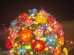 -锦江乐园舞狸花花游园会(夜场专享)