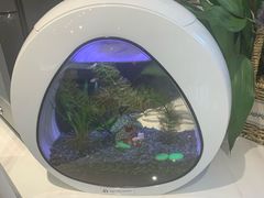 -Fridi Patisserie Cafe