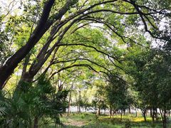 -上海佘山国家森林公园天马山园