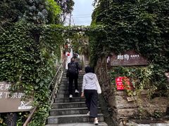 -树厨贵州菜(铜仁花果山店)