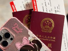 -上海浦东国际机场-T2航站楼