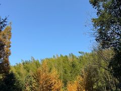 -仙霞关景区