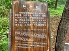 -藏山旅游风景区