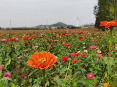 -西海岸生态观光园