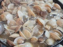 -顺德哥卜卜贝(旗舰店)