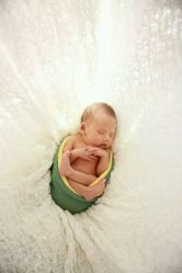 -金麦兜儿童摄影(新星绿城店)