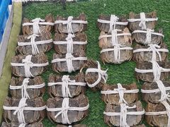 -大润发(芜湖店)