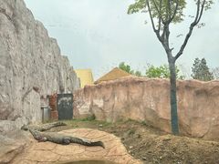-武汉动物园