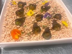 -老房子金沙元年川菜食府·花园餐厅(金沙店)