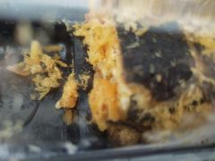 -雷米蛋糕·安佳奶油·当日最鲜果(保利·湾天地店)