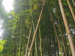 -成都杜甫草堂博物馆