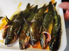 -融泽漁悦三只耳鱼火锅(南郑大道店)