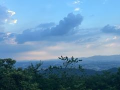 -风云岭森林公园