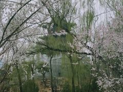 -迎泽公园