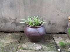 -两江国际影视城