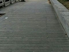 -大自然会所(阳光店)