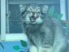 -青藏高原野生动物园