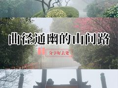 -杭州半山国家森林公园