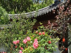 -南汇桃花村