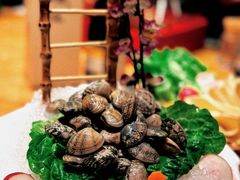 -尚海豆捞(乐虹坊店)