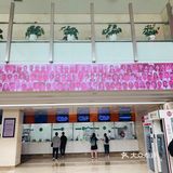 包括外地骨科医生进修，也是来这里