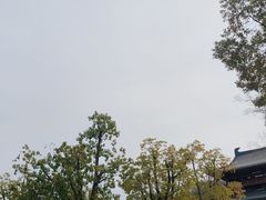 -狼山风景名胜区