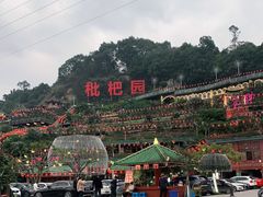 -枇杷园食为鲜火锅(南山店)