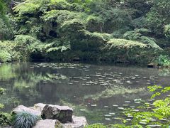 -虎跑公园