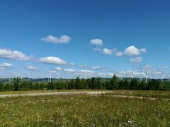 -御道口草原森林风景区